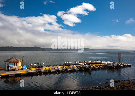 Il Dock al pittore's Lodge, Campbell River, Isola di Vancouver, British Columbia, Canada Foto Stock