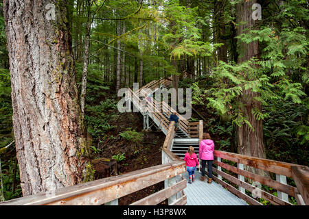 Il sentiero di Elk Falls - Elk Falls Provincial Park e Area Protetta - Campbell River, Isola di Vancouver, British Columbia, Canada Foto Stock