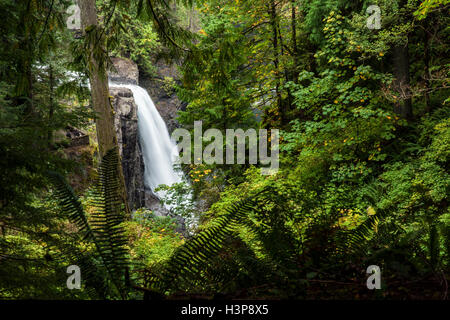 Elk Falls (lunga esposizione) - Elk Falls Provincial Park - Campbell River, Isola di Vancouver, British Columbia, Canada Foto Stock