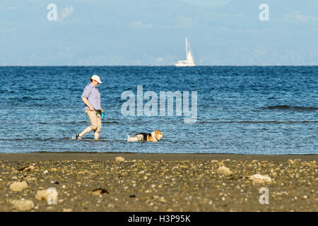 Donna cani a piedi in acqua a Rathtrevor Beach Parco Provinciale - Parksville, Isola di Vancouver, British Columbia, Canada Foto Stock