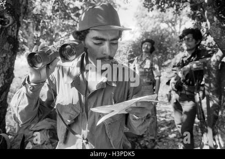 CHALATENANGO, EL SALVADOR, FEB 1984: - all'interno del FPL Guerrilla zone di controllo - FPL fighters su lookout. Foto di Mike Goldwater Foto Stock