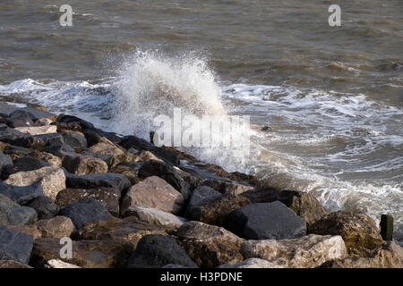 Armatura di roccia le difese costiere Bawdsey Suffolk REGNO UNITO Foto Stock