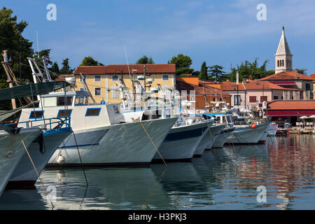 Barche da pesca in porto nel piccolo porto di Cittanova sulla costa occidentale della penisola istriana in Croazia in Europa orientale Foto Stock