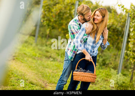 Coppia giovane con un cesto pieno di uva in vigna Foto Stock