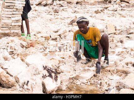 Uomo Afar mining sale di appartamenti nella regione di Afar, Danakil depressione, Etiopia. Foto Stock