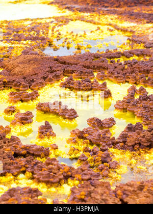 Formazioni minerali sul Dallol lago di zolfo nella depressione di Danakil, Etiopia. Close up. Foto Stock