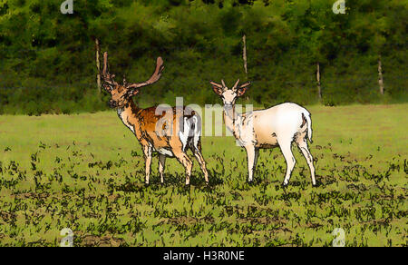 Deer New Forest Hampshire England Regno Unito il bianco e il rosso illustrazione come effetto fumetto Foto Stock