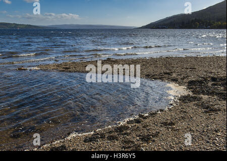 Le piccole onde che lambiscono su un soleggiato Pebble Beach nella Baia di Finart sul Loch Long vicino Ardentinny, Argyll and Bute. Foto Stock