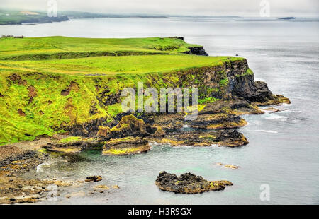 Costa frastagliata di Irlanda isola nei pressi di Ballintoy Foto Stock