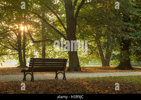 Autunno mattina Poludniowy Park (parco Sud) a Wroclaw, Slesia, Polonia. Foto Stock