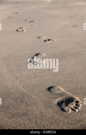 Orme su una spiaggia in California Foto Stock