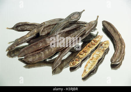 La Carruba, frutti, il carrubo, ceratonia siliqua, still life, Karobenbaum, Karrube, ceratonia, legumi, legumi tropicali, raccolto di foraggio Foto Stock