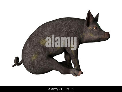 3D rendering di un maialino isolati su sfondo bianco Foto Stock