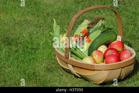 Un trug riempito con appena raccolto le mele e ortaggi con zucchine, granturco dolce e i baccelli in un giardino inglese Foto Stock