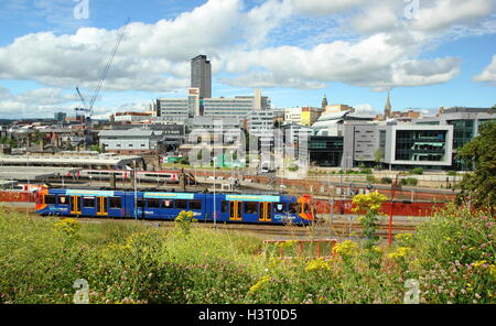 Sheffield City skyline visto da urbano piantare fiori selvaggi che si affaccia su un tram itinerario attraverso la città in una bella giornata d'estate Foto Stock