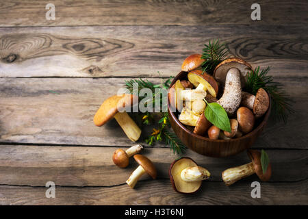 Forest la raccolta di funghi in legno scuro ciotola, vista dall'alto. Crudo fresco funghi sul tavolo rustico. Leccinum scabrum Foto Stock