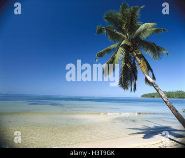 La Seychelles, Mahe Anse, Boileau, mare, spiaggia di Palm Beach, palm, spiaggia sabbiosa, acqua, surf, la spiaggia da sogno Foto Stock