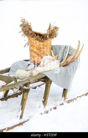 Vecchi cani da slitta nella tundra con decorazione Foto Stock