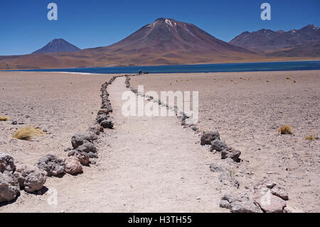 Vista del vulcano vicino alla laguna Miscanti e Miniques, Atacama, Cile Foto Stock