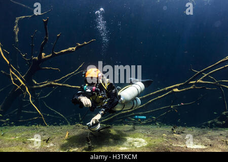 Tuffati in una grotta di cenote a Tulum, Messico, circondata da acque turchesi, formazioni calcaree e raggi di luce, catturando la bellezza dell'Explore subacqueo Foto Stock