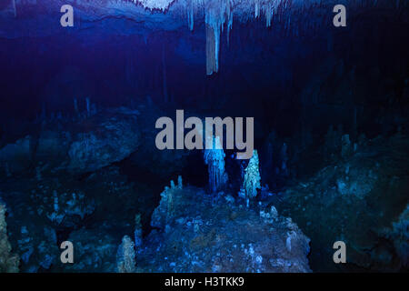 Tuffati in una grotta di cenote a Tulum, Messico, circondata da acque turchesi, formazioni calcaree e raggi di luce, catturando la bellezza dell'Explore subacqueo Foto Stock