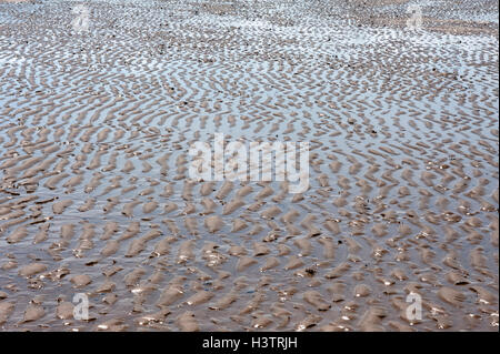 Struttura di sabbia con la bassa marea, Costa Atlantica, La Tranche sur Mer, Vandee, Francia Foto Stock