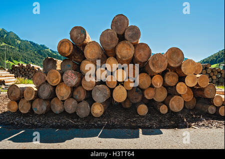 Registri sovrapposti, segheria vicino Hittisau, Foresta di Bregenz, Vorarlberg, Austria Foto Stock