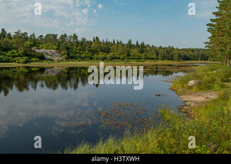 Nelly's Moss South Lake, Cragside, vicino a Rothbury, Northumberland, Inghilterra Foto Stock