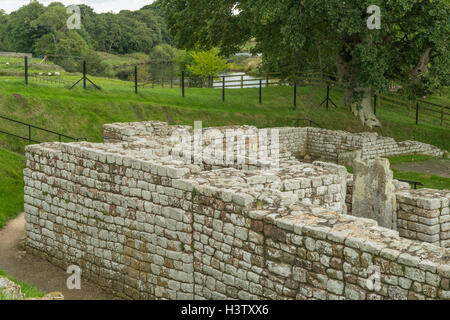 Bath House, Chesters Roman Fort, Northumberland, Inghilterra Foto Stock