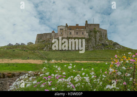 Lindisfarne Castle, Isola Santa, Northumberland, Inghilterra Foto Stock