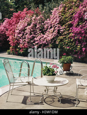 Anni ottanta BACKYARD PISCINA Azalee in fiore gerani IN BIANCO DI CONTENITORI sedie in ferro battuto TABELLA PRIMAVERA Foto Stock