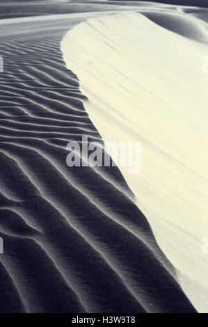 Venezuela, Coro, deserto dune di sabbia, dettaglio, Sud America, paesaggi selvaggi, sabbia desert dune, sabbia, Rippelmarken, secchezza, secchezza, penuria d acqua, vita-hostilely, Foto Stock