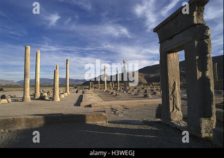 Iran, provincia far, Persepolis, rovina sito, Apadana, pilastri, il Medio Oriente, anteriore est, vicino Oriente, città, palace, palazzo rovina, la rovina del tempio, tempio, foyer, archeologia, archeologia, UNESCO-patrimonio culturale mondiale, cultura, arte, luogo di interesse Foto Stock