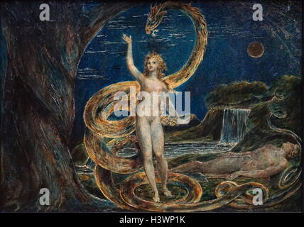 Pittura intitolata 'Eve tentati dal serpente' da William Blake (1757-1827) un poeta inglese, pittore e incisore. Datata xviii secolo Foto Stock