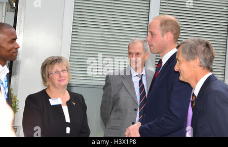 Il Duca di Cambridge con il Lord Luogotenente di Hampshire (a destra) per una visita ufficiale di un passo nel programma sanitario presso l'arca Conference Center Basingstoke e North Hampshire Ospedale concentrandosi sul lavoro di fornire opportunità di lavoro per i veterani militari. (LtoR )Kofi Quartey,passo nella sanità Coordinatore Regionale di Hampshire, Julia Watling, Passo in piombo Salute & Regional Lead per East Anglia.Arnie Lustman , Direttore di Programma Hampshire Hospitals NHS Trust Credit: Gary Blake/Alamy Live News Foto Stock