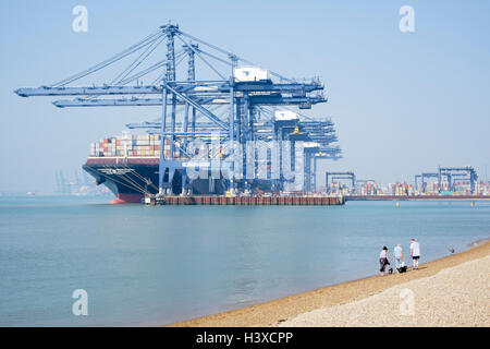 La gente a piedi i loro cani lungo la spiaggia con il MSC Venezia contenitore nave ancorata nel porto di Felixstowe in background. Foto Stock