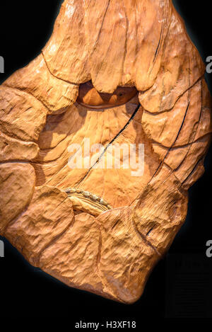 Intarsio di legno della quattordicesima stazione della croce (Gesù è deposto nel sepolcro dopo la sua morte). Foto Stock