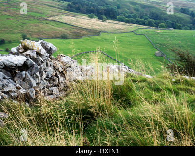 Erbe lunghe al vento in Malhamdale vicino Malham Yorkshire Dales Inghilterra Foto Stock