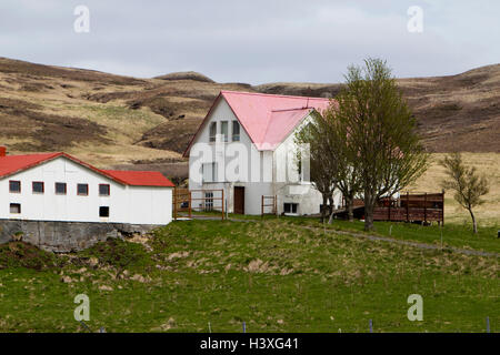 Piccola fattoria islandese homestead casa colonica con fienile dal tetto rosso Islanda Foto Stock