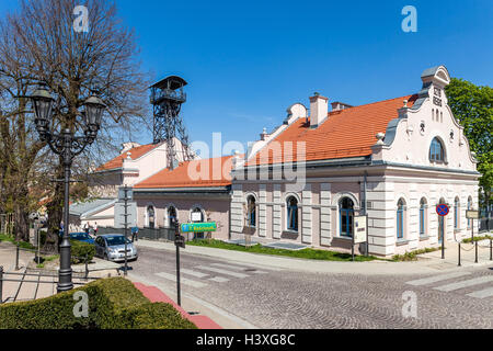 Wieliczka - Polonia - aprile 23. Sale sotterranee Museo delle Miniere di Wieliczka. Regis albero. Uno dei due alberi principali di Wieliczka Sal Foto Stock