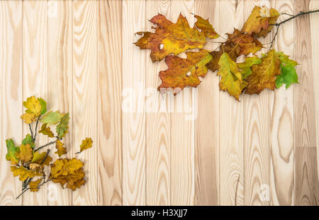 Autunno sfondo con boschi di querce e di foglie di acero in legno rustico texture Foto Stock