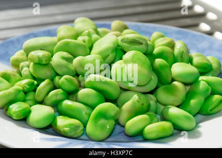 Freschi e stagionali e fave Foto Stock