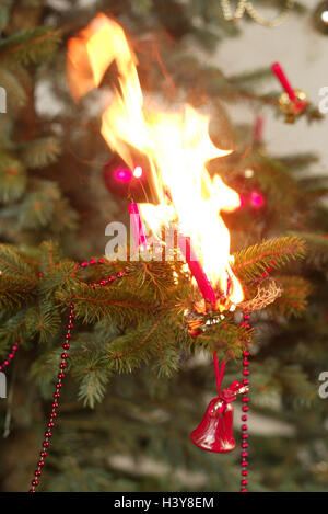 Albero di natale, blast, dettaglio Foto Stock