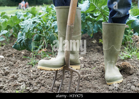 Close Up di agricoltori che lavorano in azienda agricola biologica campo Foto Stock