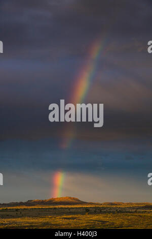 Vista panoramica di Rainbow su campo erboso, Newman, Australia occidentale, Australia Foto Stock