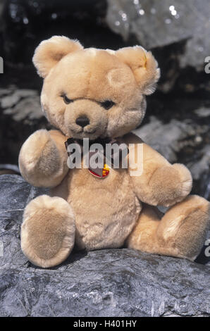 Teddy, marrone, pietra, un orso di peluche peluche morbido, animale di peluche e giocattoli, loop, marrone Foto Stock