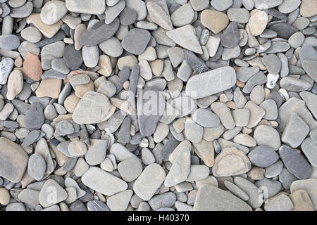 La texture di piccole pietre e ciottoli sulla spiaggia del Quebec Foto Stock