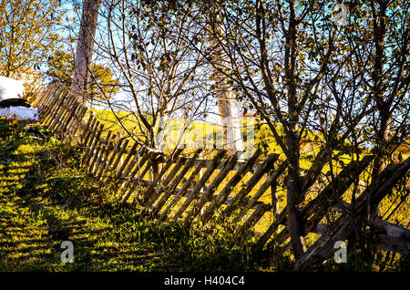 Crooked recinzione in legno in autunno la luce del sole sul prato Foto Stock