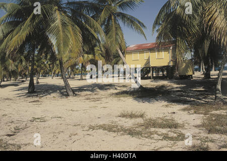 Belize, Placecia, Palm Beach, casa in legno, America Centrale, Penisola Yucatan, stato, spiaggia sabbiosa, palme, house, il beach house, pole casa, costruendo su palafitte, architettura, metodo di costruzione, tipicamente Foto Stock