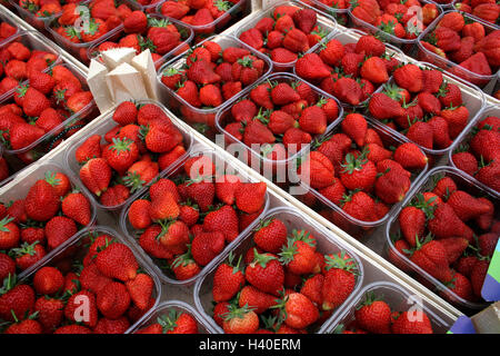 Fragola Foto Stock